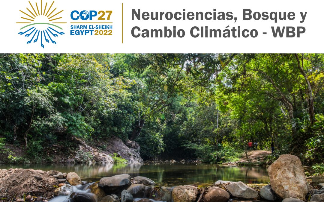 NEUROCIENCIAS, BOSQUE Y CAMBIO CLIMATICO, COP 27