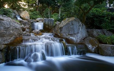 La Conciencia del Agua. Por Koncha Pinós. Ciencia, filosofía y estética.