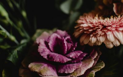 Cursos y Formación en Terapia de los Bosques y Jardines