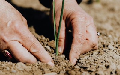 La Ética Ambiental: Nuestro Compromiso con la Tierra por Koncha Pinós