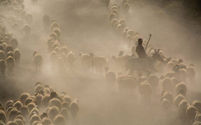 Patrimonio sensorial: por qué el olor y los sonidos definen nuestra cultura
