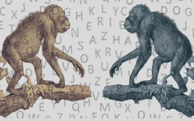 El lenguaje de los monos