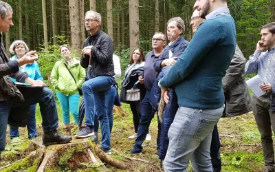 ⁠Secretos económicos forestales