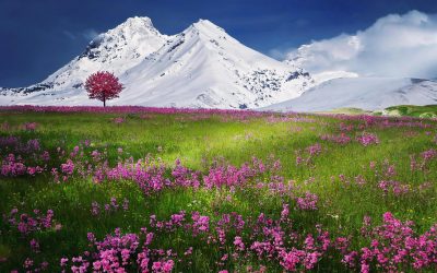 Conexión Ecológica y Temporal: La Gestión del Paisaje como Reconciliación del Tiempo y el Equilibrio Ambiental