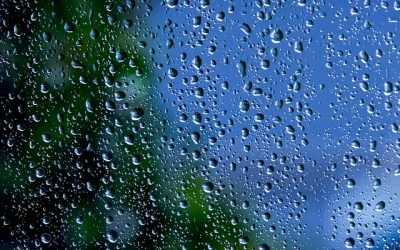 La Prescripción Azul: cómo el agua transforma la conciencia