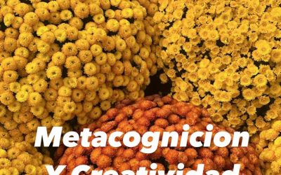 Metacognition y creatividad