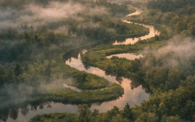 Los límites del pensamiento lineal