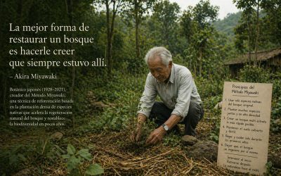 Akira Miyawaki: restaurar lo vivo donde ha sido interrumpido