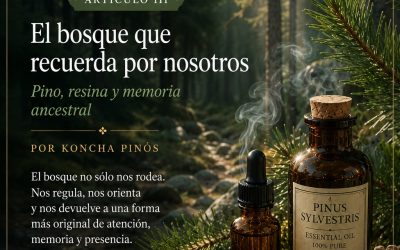 La memoria invisible